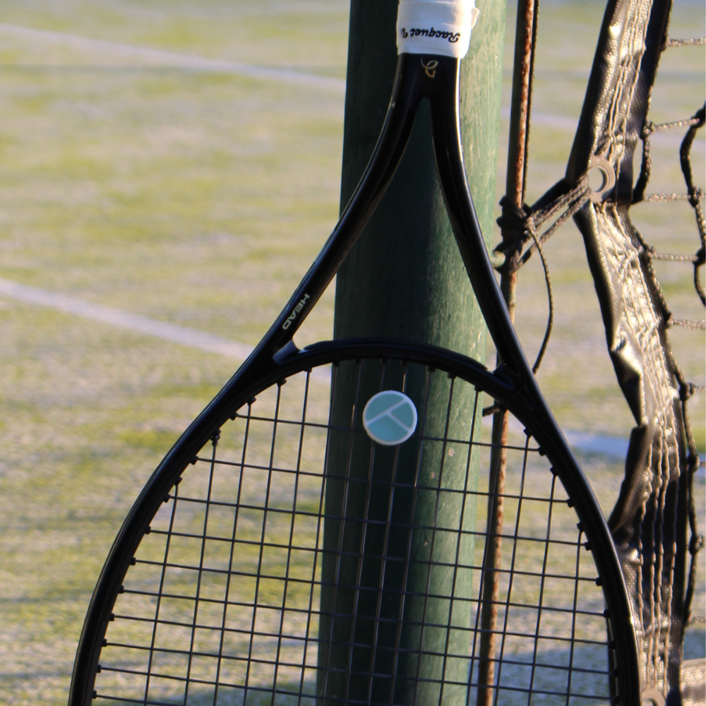 tennis dampener racquet view